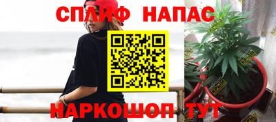 индика Ипатово