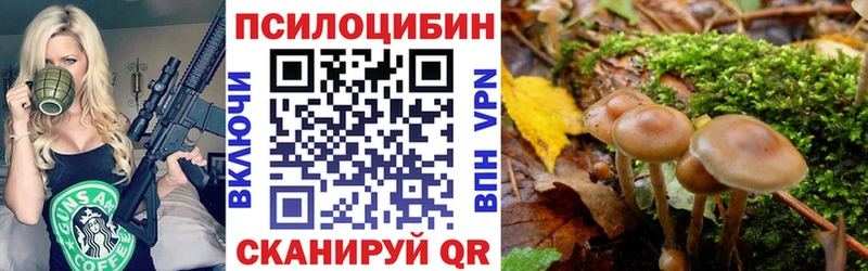 блэк спрут маркетплейс  Волоколамск  Псилоцибиновые грибы ЛСД 