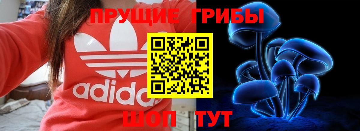 Волоколамск  как найти закладки  Вход с VPN  Псилоцибиновые грибы GOLDEN TEACHER 